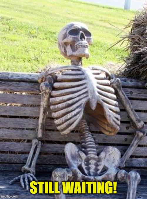 Waiting Skeleton Meme | STILL WAITING! | image tagged in memes,waiting skeleton | made w/ Imgflip meme maker