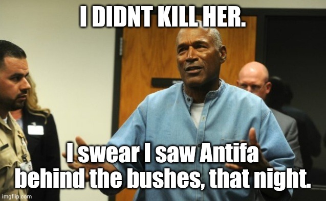 Simpson plead | I DIDNT KILL HER. I swear I saw Antifa behind the bushes, that night. | image tagged in simpson plead | made w/ Imgflip meme maker