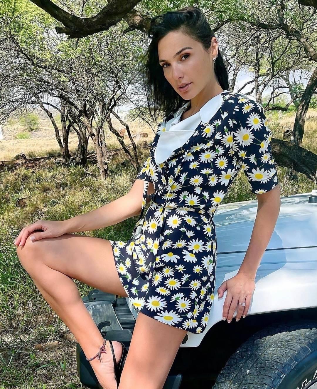 Gal Gadot Blank Meme Template