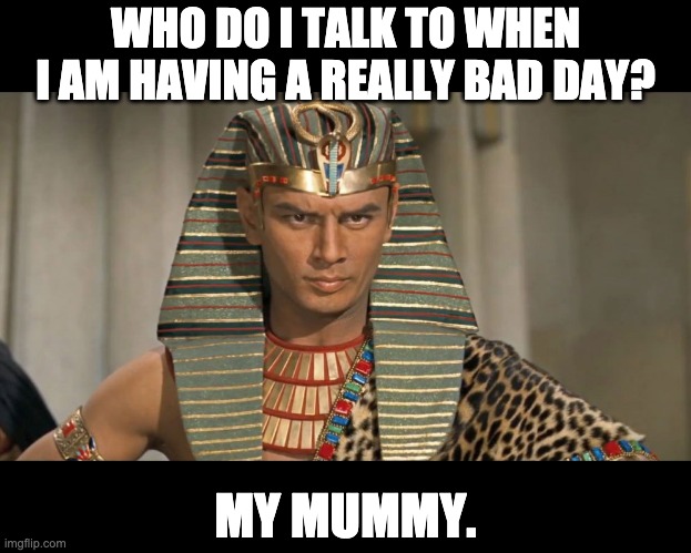 I want my mummy | WHO DO I TALK TO WHEN I AM HAVING A REALLY BAD DAY? MY MUMMY. | image tagged in pharoah | made w/ Imgflip meme maker