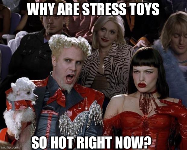 Mugatu So Hot Right Now | WHY ARE STRESS TOYS; SO HOT RIGHT NOW? | image tagged in memes,mugatu so hot right now | made w/ Imgflip meme maker