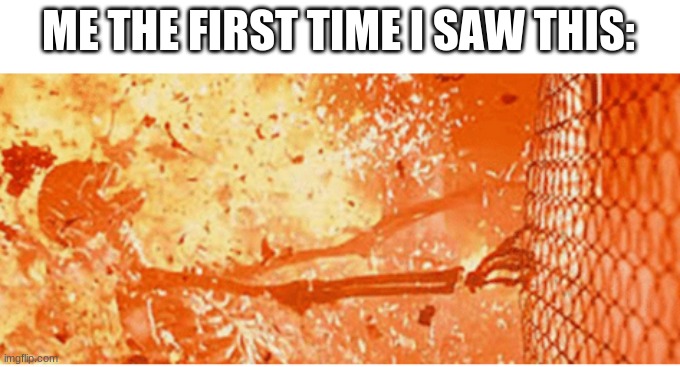 skeleton on fire | ME THE FIRST TIME I SAW THIS: | image tagged in skeleton on fire | made w/ Imgflip meme maker