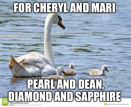 Name the Manor House swans | FOR CHERYL AND MARI; PEARL AND DEAN, DIAMOND AND SAPPHIRE | image tagged in babies,birds | made w/ Imgflip meme maker
