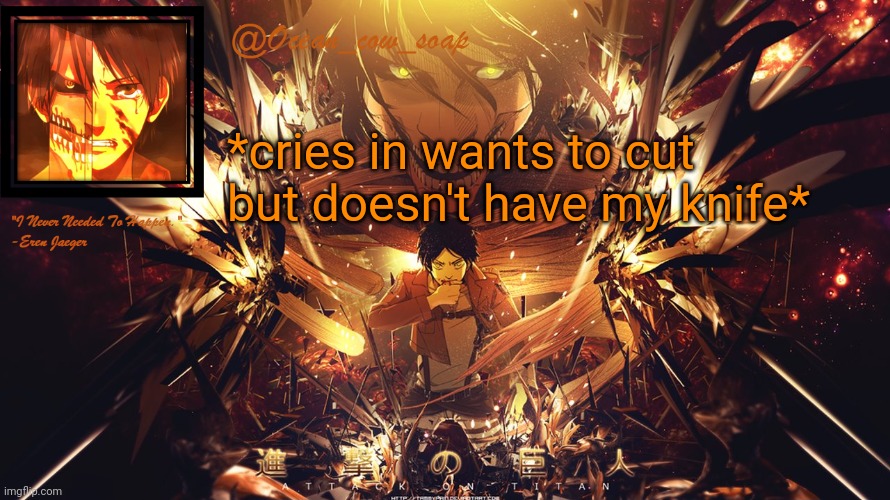 Reee it's at my moms ; - ; | *cries in wants to cut but doesn't have my knife* | image tagged in soap's eren temp | made w/ Imgflip meme maker