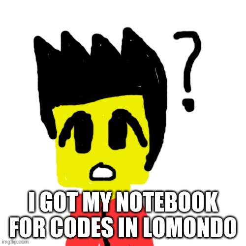 Lego anime confused face | I GOT MY NOTEBOOK FOR CODES IN LOMONDO | image tagged in lego anime confused face | made w/ Imgflip meme maker