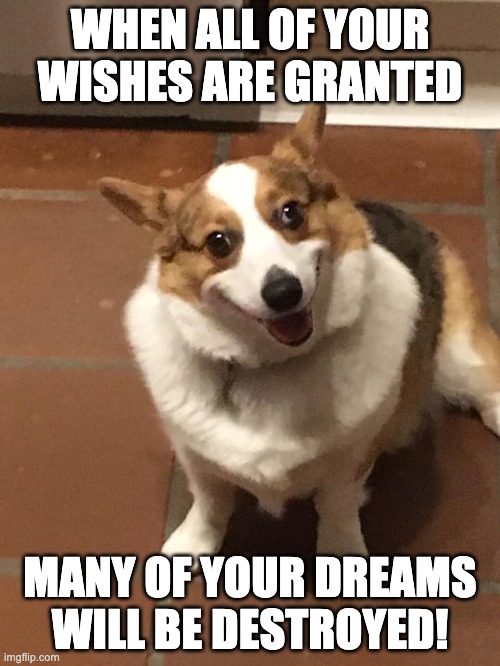 WHEN ALL OF YOUR WISHES ARE GRANTED; MANY OF YOUR DREAMS WILL BE DESTROYED! | made w/ Imgflip meme maker
