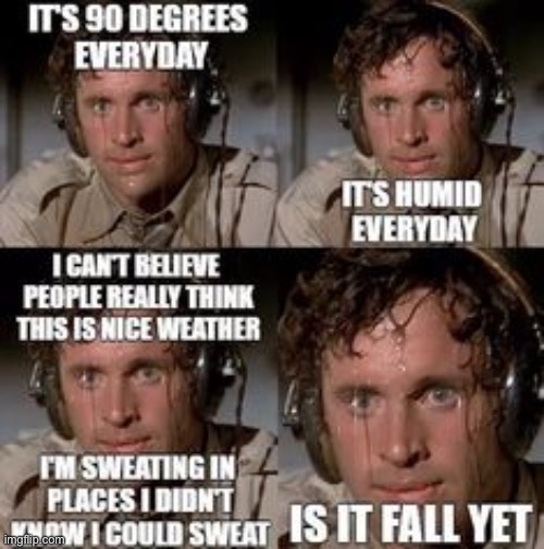 Ah jeez I HATE living in south-east Texas……. | image tagged in texas,weather,sweating bullets,funny memes,memes | made w/ Imgflip meme maker