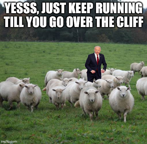 Sheeple | YESSS, JUST KEEP RUNNING TILL YOU GO OVER THE CLIFF | image tagged in sheeple,joe biden | made w/ Imgflip meme maker