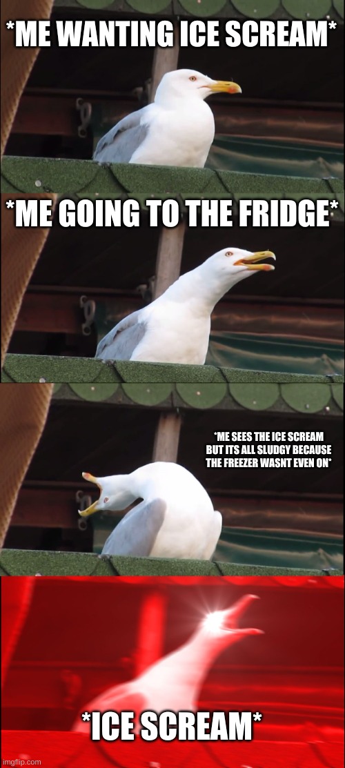 Inhaling Seagull Meme | *ME WANTING ICE SCREAM*; *ME GOING TO THE FRIDGE*; *ME SEES THE ICE SCREAM BUT ITS ALL SLUDGY BECAUSE THE FREEZER WASNT EVEN ON*; *ICE SCREAM* | image tagged in memes,inhaling seagull | made w/ Imgflip meme maker