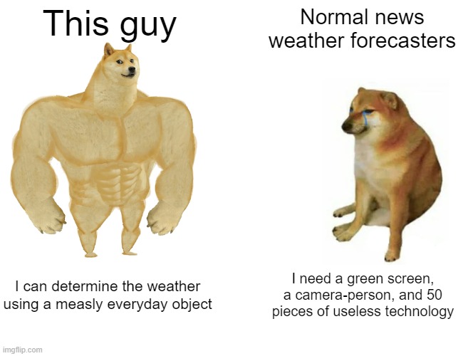 Buff Doge vs. Cheems Meme | This guy Normal news weather forecasters I can determine the weather using a measly everyday object I need a green screen, a camera-person,  | image tagged in memes,buff doge vs cheems | made w/ Imgflip meme maker