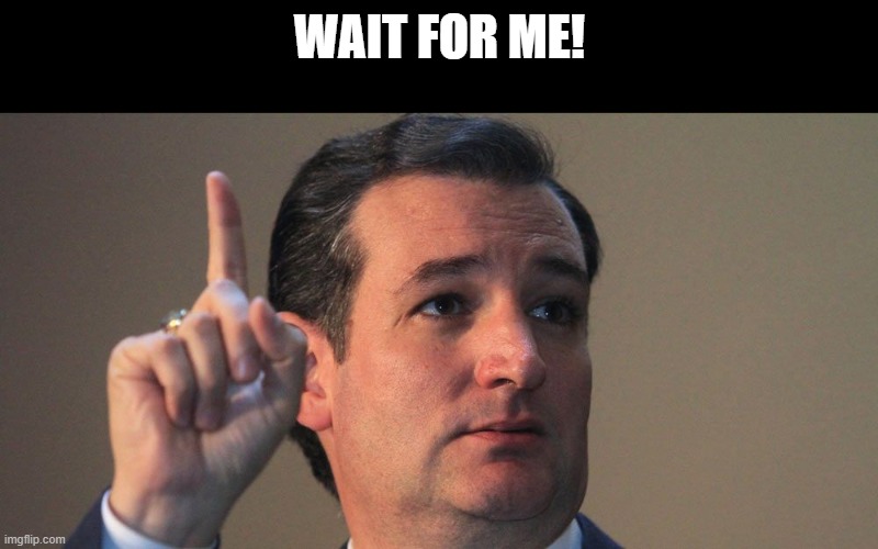 Ted Cruz | WAIT FOR ME! | image tagged in ted cruz | made w/ Imgflip meme maker