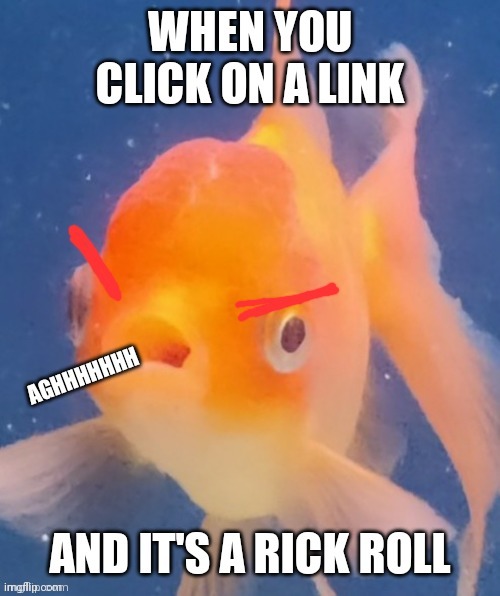 Rick roll fish (angry fish) | image tagged in fish,rick roll | made w/ Imgflip meme maker
