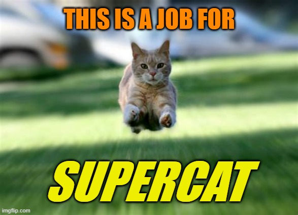 Up, up, and away! · · | THIS IS A JOB FOR; SUPERCAT | image tagged in cat flying,supercat,new job,cats,cat meme | made w/ Imgflip meme maker
