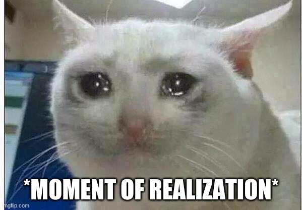 crying cat | *MOMENT OF REALIZATION* | image tagged in crying cat | made w/ Imgflip meme maker