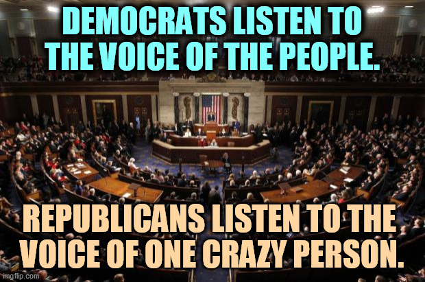 GOP = jerks. | DEMOCRATS LISTEN TO THE VOICE OF THE PEOPLE. REPUBLICANS LISTEN TO THE 
VOICE OF ONE CRAZY PERSON. | image tagged in congress,democrats,serious,republicans,jerks | made w/ Imgflip meme maker