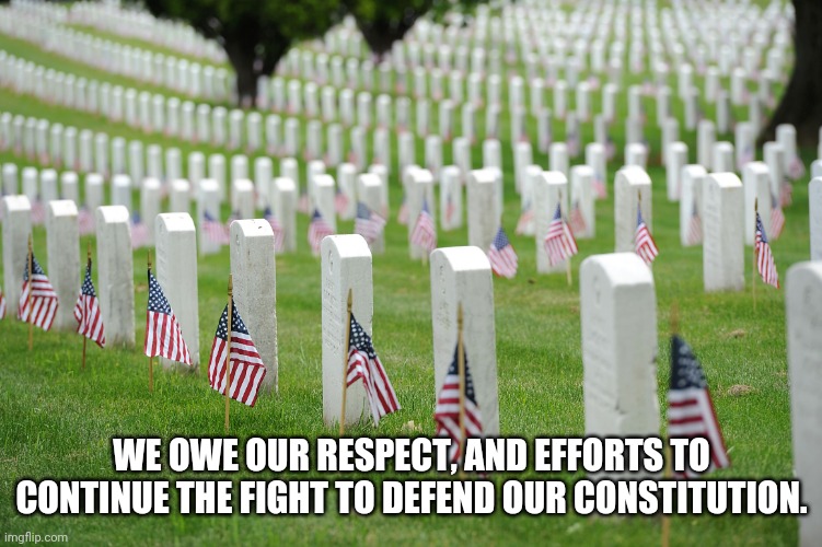 Arlington | WE OWE OUR RESPECT, AND EFFORTS TO CONTINUE THE FIGHT TO DEFEND OUR CONSTITUTION. | image tagged in arlington | made w/ Imgflip meme maker