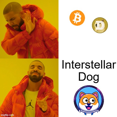 Interstellar Dog | Interstellar Dog | image tagged in memes,drake hotline bling | made w/ Imgflip meme maker