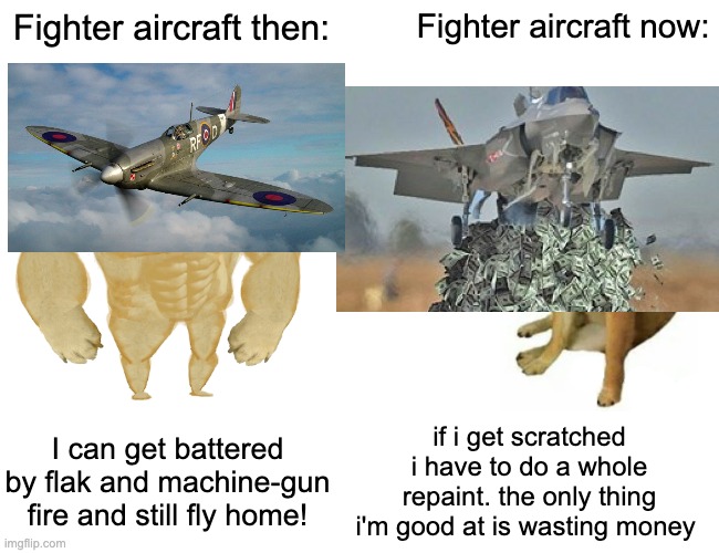 sorry guys im an avgeek | Fighter aircraft then:; Fighter aircraft now:; I can get battered by flak and machine-gun fire and still fly home! if i get scratched i have to do a whole repaint. the only thing i'm good at is wasting money | image tagged in memes,buff doge vs cheems,planes,history memes,funni | made w/ Imgflip meme maker