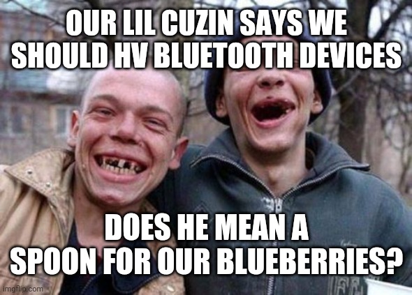 Ugly Twins | OUR LIL CUZIN SAYS WE SHOULD HV BLUETOOTH DEVICES; DOES HE MEAN A SPOON FOR OUR BLUEBERRIES? | image tagged in memes,ugly twins | made w/ Imgflip meme maker