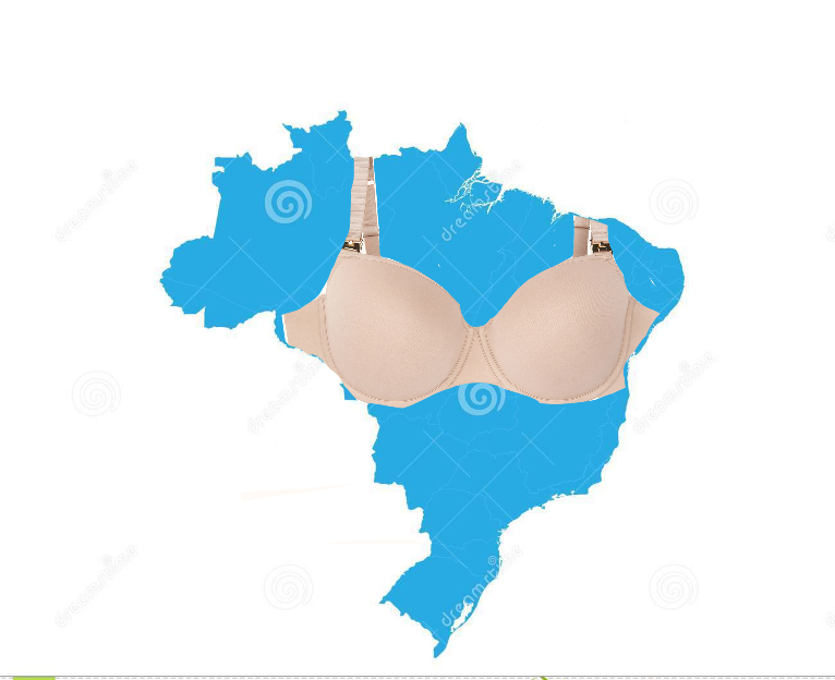 brasil / brazil Meme Generator - Imgflip