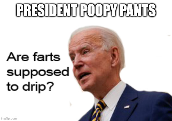 Embarassment of the nation | PRESIDENT POOPY PANTS | image tagged in poopy pants,joe biden | made w/ Imgflip meme maker