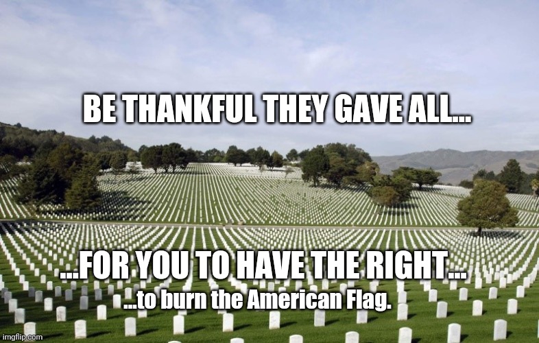 Arlington National Cemetery | BE THANKFUL THEY GAVE ALL... ...FOR YOU TO HAVE THE RIGHT... ...to burn the American Flag. | image tagged in arlington national cemetery | made w/ Imgflip meme maker
