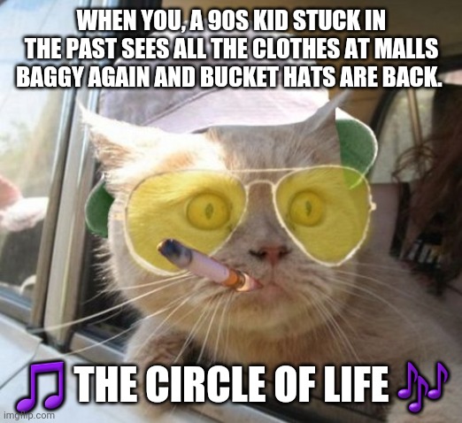 Fear And Loathing Cat | WHEN YOU, A 90S KID STUCK IN THE PAST SEES ALL THE CLOTHES AT MALLS BAGGY AGAIN AND BUCKET HATS ARE BACK. 🎵 THE CIRCLE OF LIFE 🎶 | image tagged in memes,fear and loathing cat | made w/ Imgflip meme maker