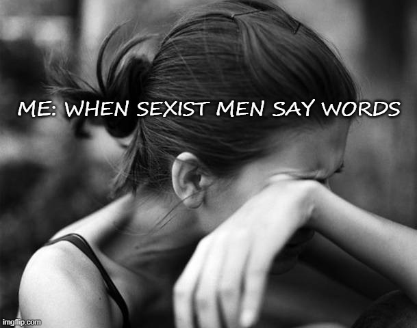 Sexist Brothers are Stupid shits | ME: WHEN SEXIST MEN SAY WORDS | image tagged in woman crying day and night | made w/ Imgflip meme maker