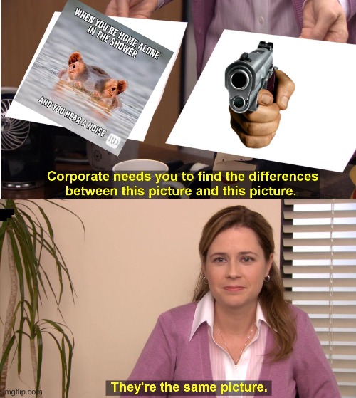 both | image tagged in memes,they're the same picture | made w/ Imgflip meme maker