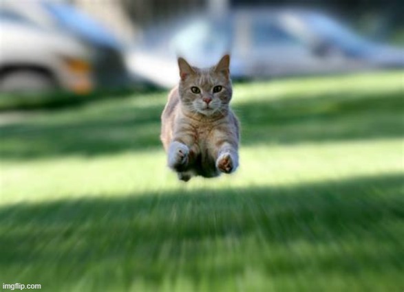 Template listed as "Cat Flying" [Link in comments] | image tagged in cat flying,cats,new template,template | made w/ Imgflip meme maker