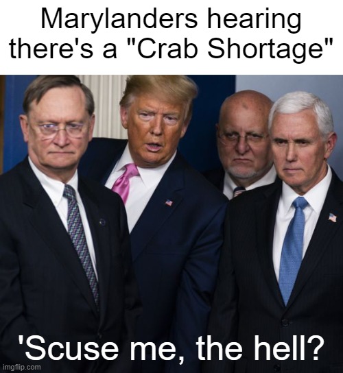 Yall Know What Im Talkin Bout | Marylanders hearing there's a "Crab Shortage"; 'Scuse me, the hell? | image tagged in what the hell are the dems doing now,maryland,crabs,what the hell | made w/ Imgflip meme maker