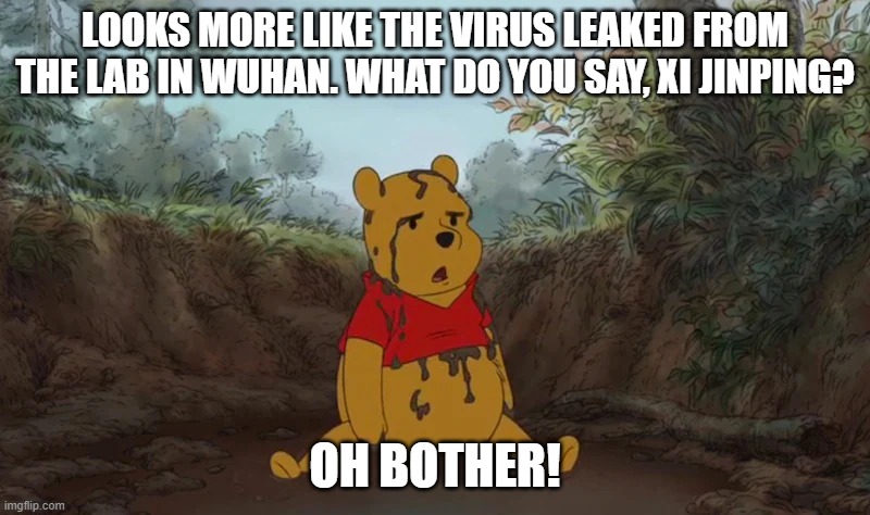 President Xi responds to the lab leak theory | LOOKS MORE LIKE THE VIRUS LEAKED FROM THE LAB IN WUHAN. WHAT DO YOU SAY, XI JINPING? OH BOTHER! | image tagged in covid-19,xi jinping,winnie the pooh,wuhan,coronavirus,virus | made w/ Imgflip meme maker