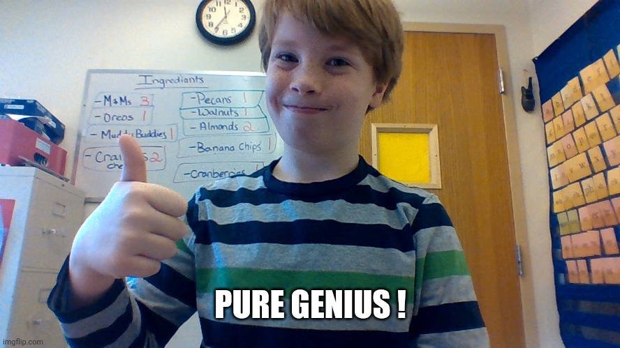 A True Genius | PURE GENIUS ! | image tagged in a true genius | made w/ Imgflip meme maker