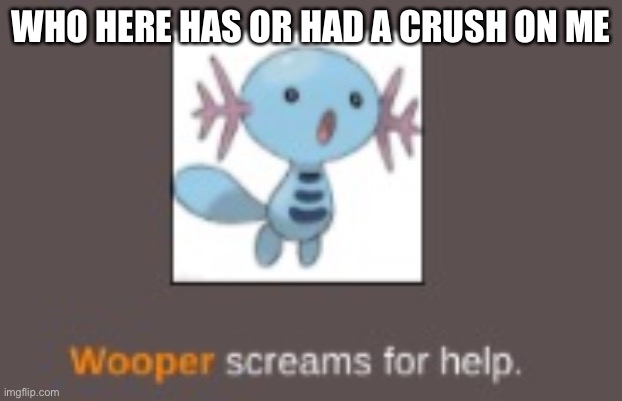 E | WHO HERE HAS OR HAD A CRUSH ON ME | image tagged in wooper screams for help | made w/ Imgflip meme maker