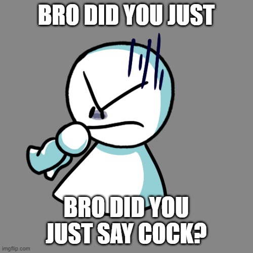 bro he mad | BRO DID YOU JUST BRO DID YOU JUST SAY COCK? | image tagged in bro he mad | made w/ Imgflip meme maker