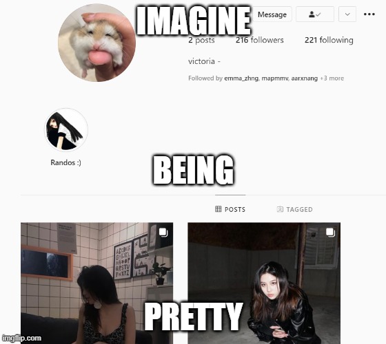 Victoria | IMAGINE; BEING; PRETTY | image tagged in victoria | made w/ Imgflip meme maker