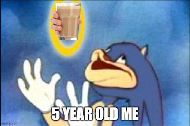 Sonic derp | 5 YEAR OLD ME | image tagged in sonic derp | made w/ Imgflip meme maker