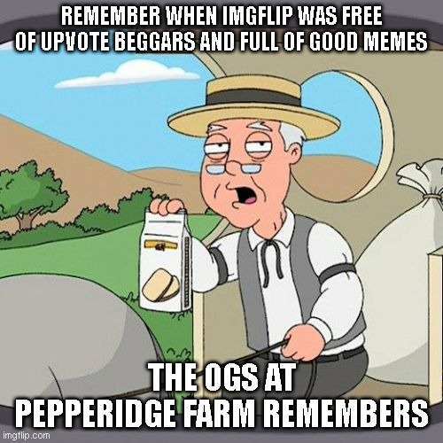 When memes where good | REMEMBER WHEN IMGFLIP WAS FREE OF UPVOTE BEGGARS AND FULL OF GOOD MEMES; THE OGS AT PEPPERIDGE FARM REMEMBERS | image tagged in memes,pepperidge farm remembers | made w/ Imgflip meme maker