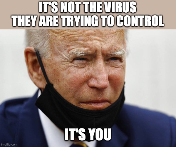 Virus Control |  IT'S NOT THE VIRUS THEY ARE TRYING TO CONTROL; IT'S YOU | image tagged in biden,fascist,covid,scam,control | made w/ Imgflip meme maker