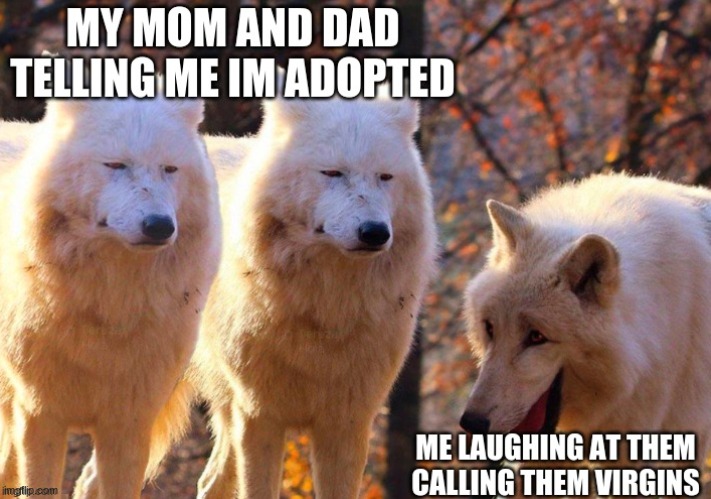 You adopted kid | image tagged in funny memes | made w/ Imgflip meme maker