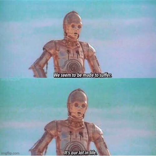 C3PO is  a mood | image tagged in we seem to be made to suffer | made w/ Imgflip meme maker