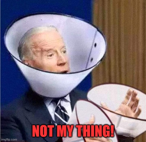 Joe Don't Touch! | NOT MY THING! | image tagged in joe don't touch | made w/ Imgflip meme maker