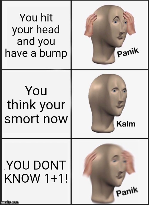 Knowwwwww | You hit your head and you have a bump; You think your smort now; YOU DONT KNOW 1+1! | image tagged in memes,panik kalm panik | made w/ Imgflip meme maker