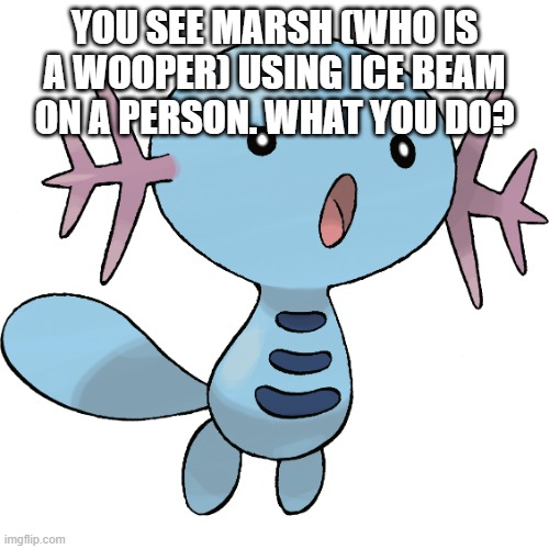 what ya do | YOU SEE MARSH (WHO IS A WOOPER) USING ICE BEAM ON A PERSON. WHAT YOU DO? | image tagged in wooper | made w/ Imgflip meme maker