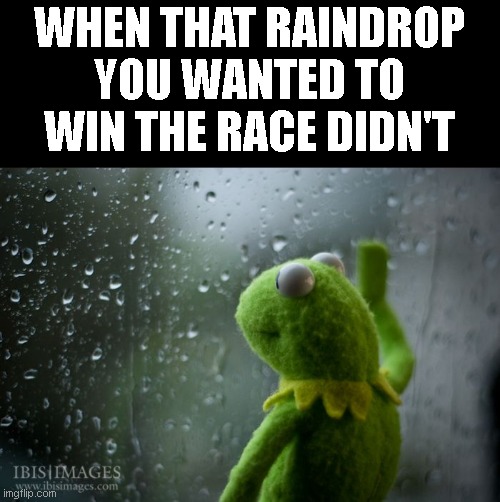 Raindrops.... | WHEN THAT RAINDROP YOU WANTED TO WIN THE RACE DIDN'T | image tagged in kermit window,kermit the frog,rain,childhood,right in the childhood | made w/ Imgflip meme maker