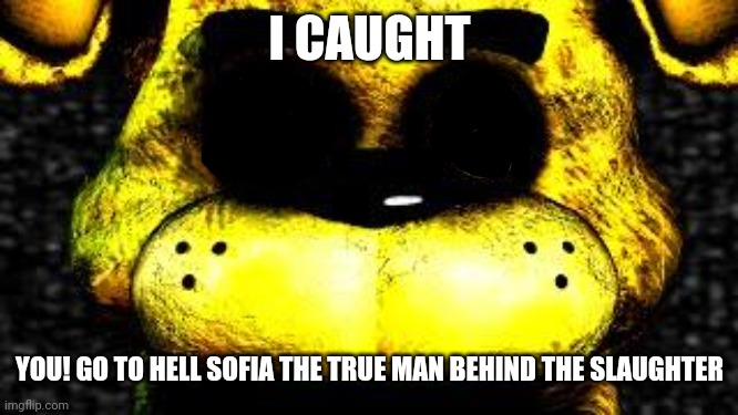 Golden Freddy | I CAUGHT YOU! GO TO HELL SOFIA THE TRUE MAN BEHIND THE SLAUGHTER | image tagged in golden freddy | made w/ Imgflip meme maker