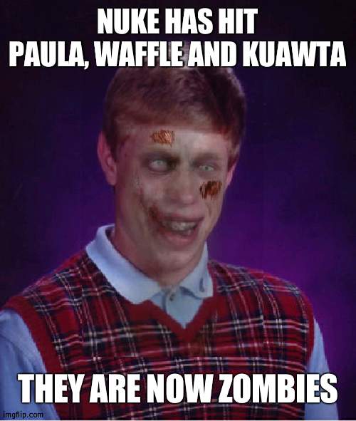 They infect you by commenting on your reply or meme | NUKE HAS HIT PAULA, WAFFLE AND KUAWTA; THEY ARE NOW ZOMBIES | image tagged in memes,zombie bad luck brian,zombies | made w/ Imgflip meme maker