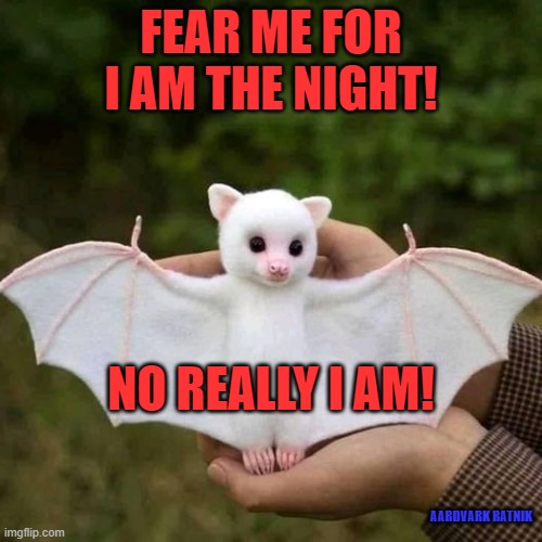 White Night | FEAR ME FOR I AM THE NIGHT! NO REALLY I AM! AARDVARK RATNIK | image tagged in happy halloween,fear,funny memes,funny animals | made w/ Imgflip meme maker