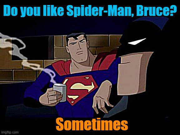 Batman And Superman Meme | Do you like Spider-Man, Bruce? Sometimes | image tagged in memes,batman and superman | made w/ Imgflip meme maker