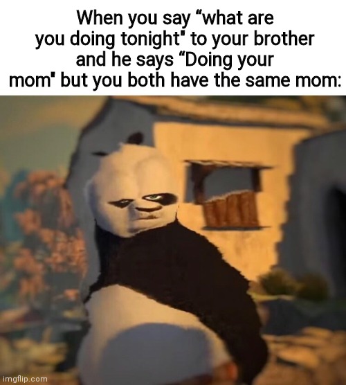 Drunk kung Fu panda | When you say “what are you doing tonight" to your brother and he says “Doing your mom" but you both have the same mom: | image tagged in drunk kung fu panda | made w/ Imgflip meme maker